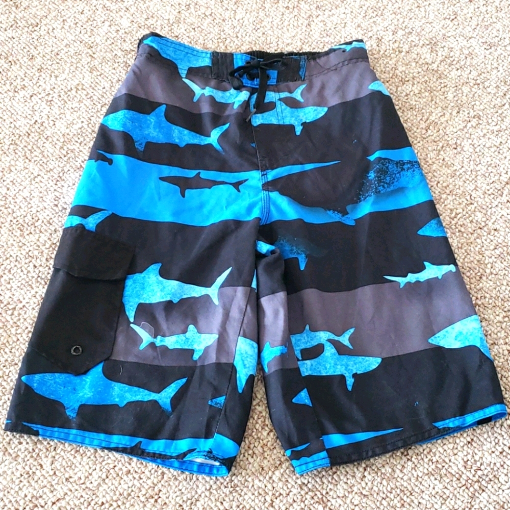 Hang Ten Swim trucks